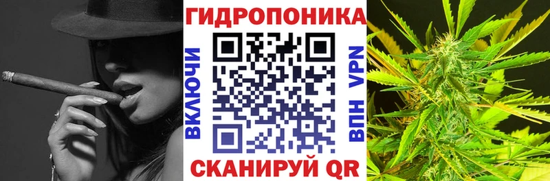 Все наркотики Бирюсинск ГАШИШ  Alpha-PVP  МЕФ 