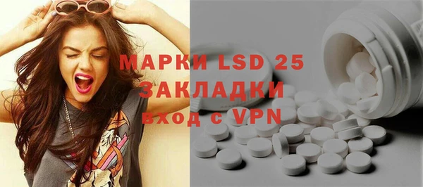индика Арсеньев