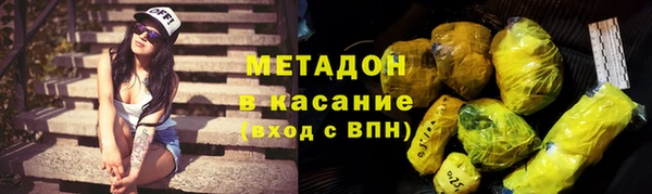 индика Арсеньев