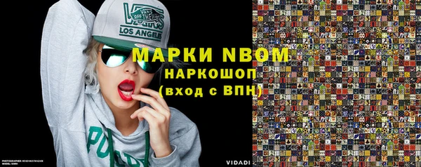 индика Арсеньев