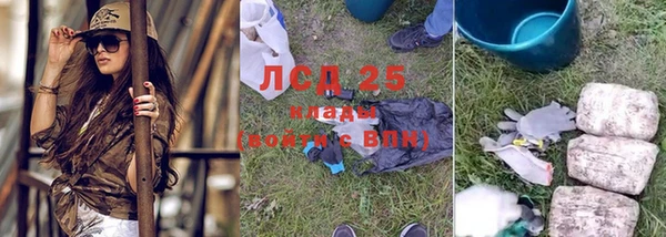 индика Арсеньев