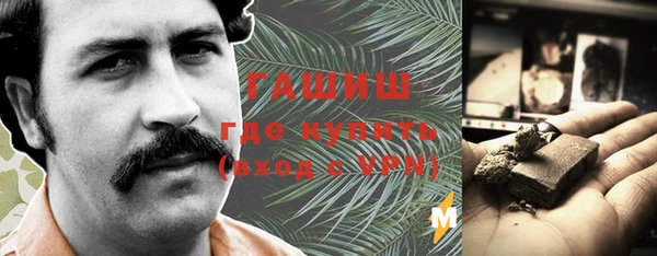 индика Арсеньев