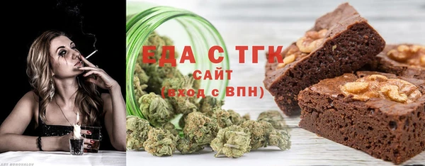 индика Арсеньев
