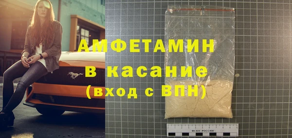 индика Арсеньев