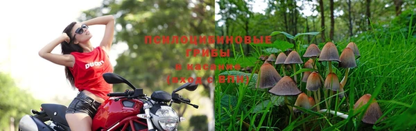 тгк Армянск
