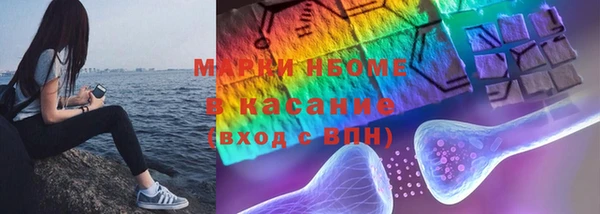 индика Арсеньев