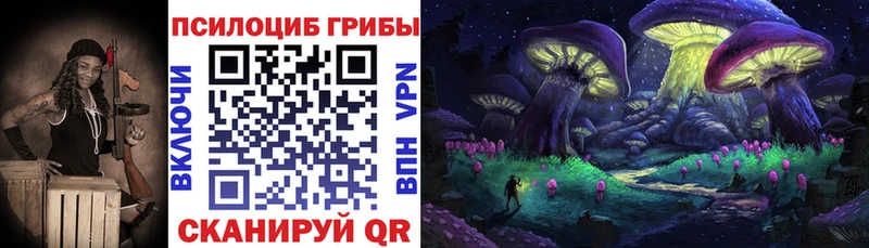Псилоцибиновые грибы прущие грибы  где продают наркотики  Бирюсинск 